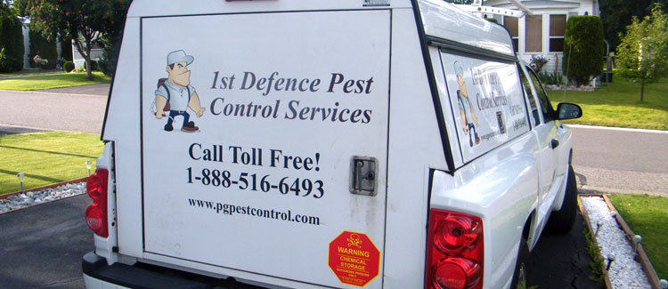 Pince George Pest Control - extermination services